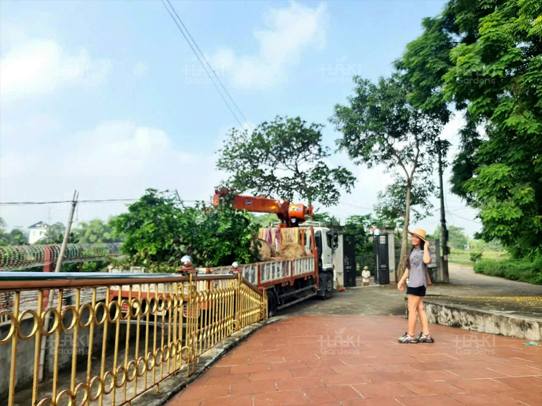 Haki đến tận nơi và trao đổi với khách hàng