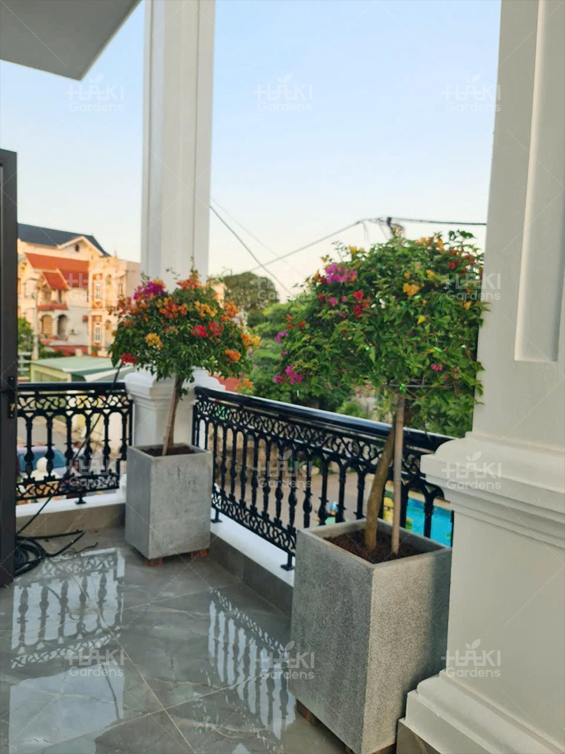 Ban công cũng đã có màu sắc rực rỡ hơn