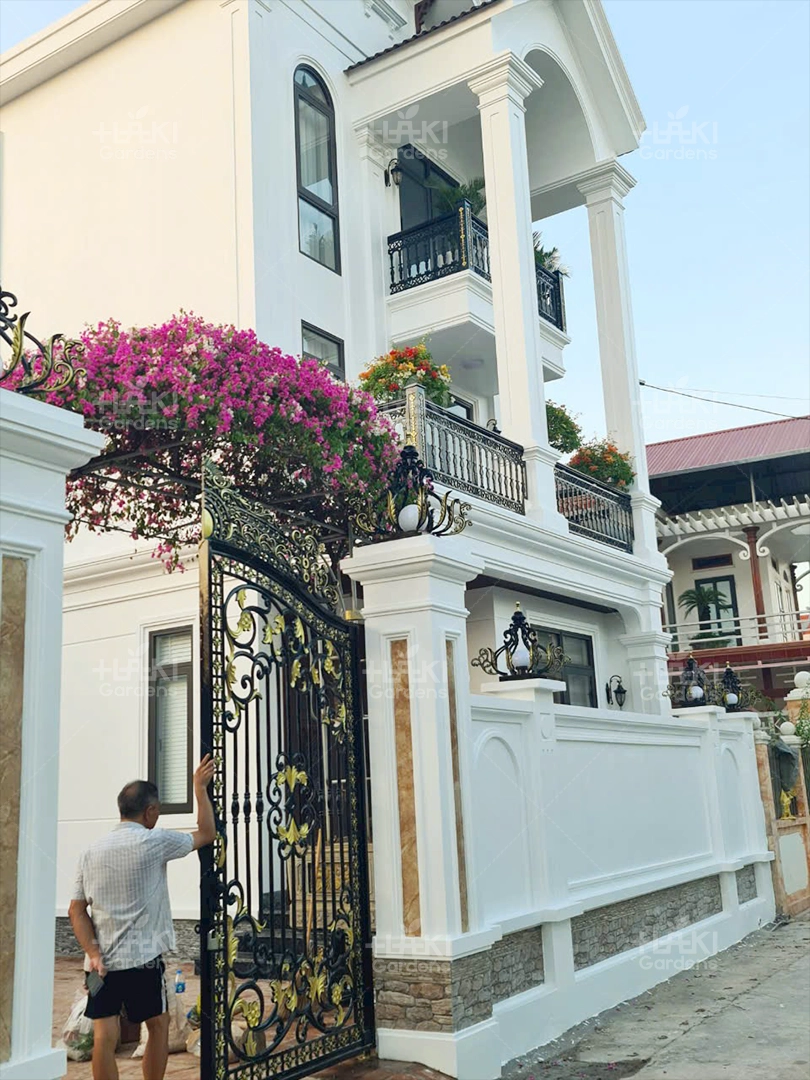 Cửa đã có màu tím mộng mơ