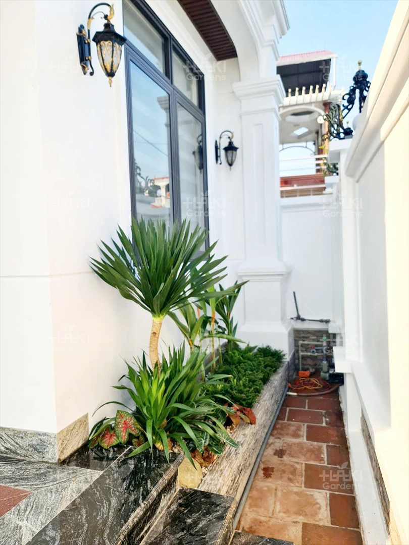 Góc nhỏ nay đã xanh đẹp hơn