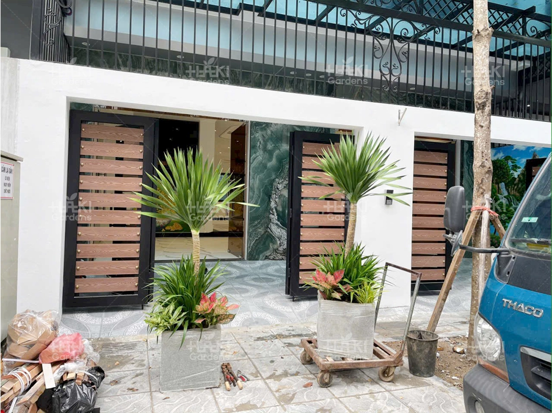 Những chậu cây được mang đến nơi đẻ chuẩn bị được vân chuyển lên