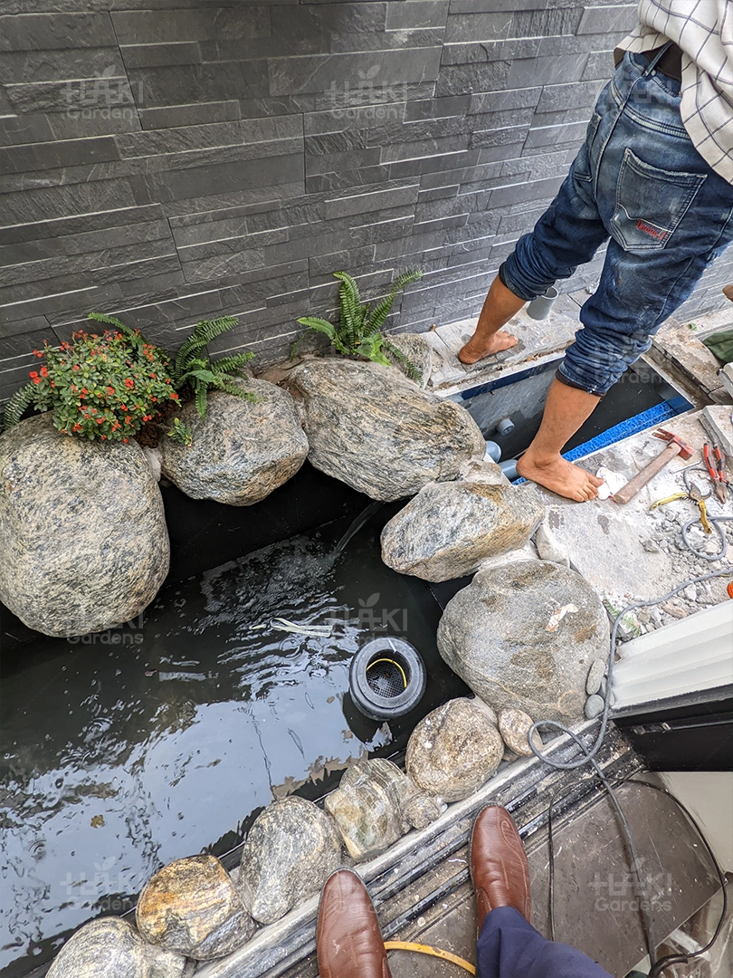 Bắt đầu trồng từng khóm nhỏ