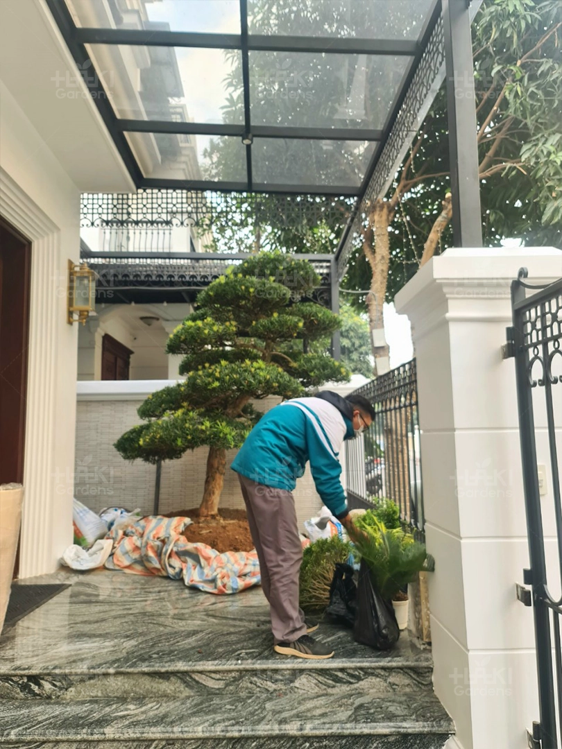 Các loại được Haki chuẩn bị