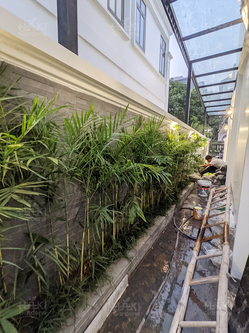 Hàng cây được trồng phía sau bể cá