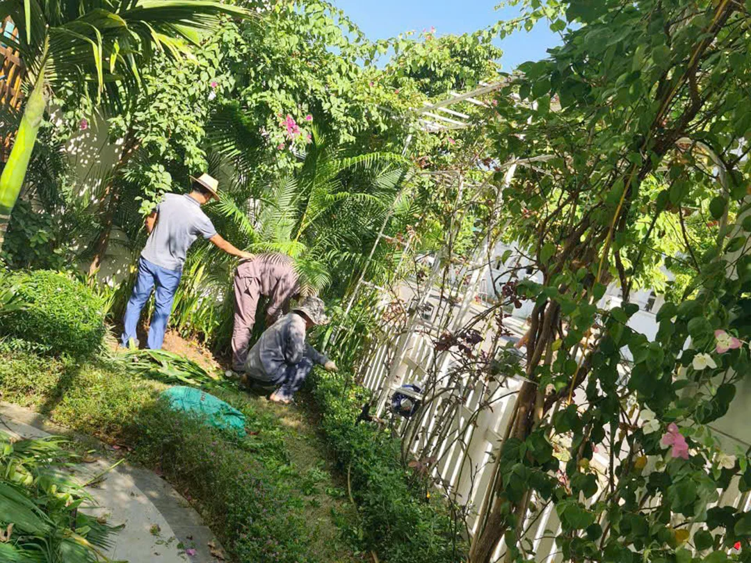 Dịch vụ chăm sóc tại vườn là giải pháp cho những khách hàng bận rộn