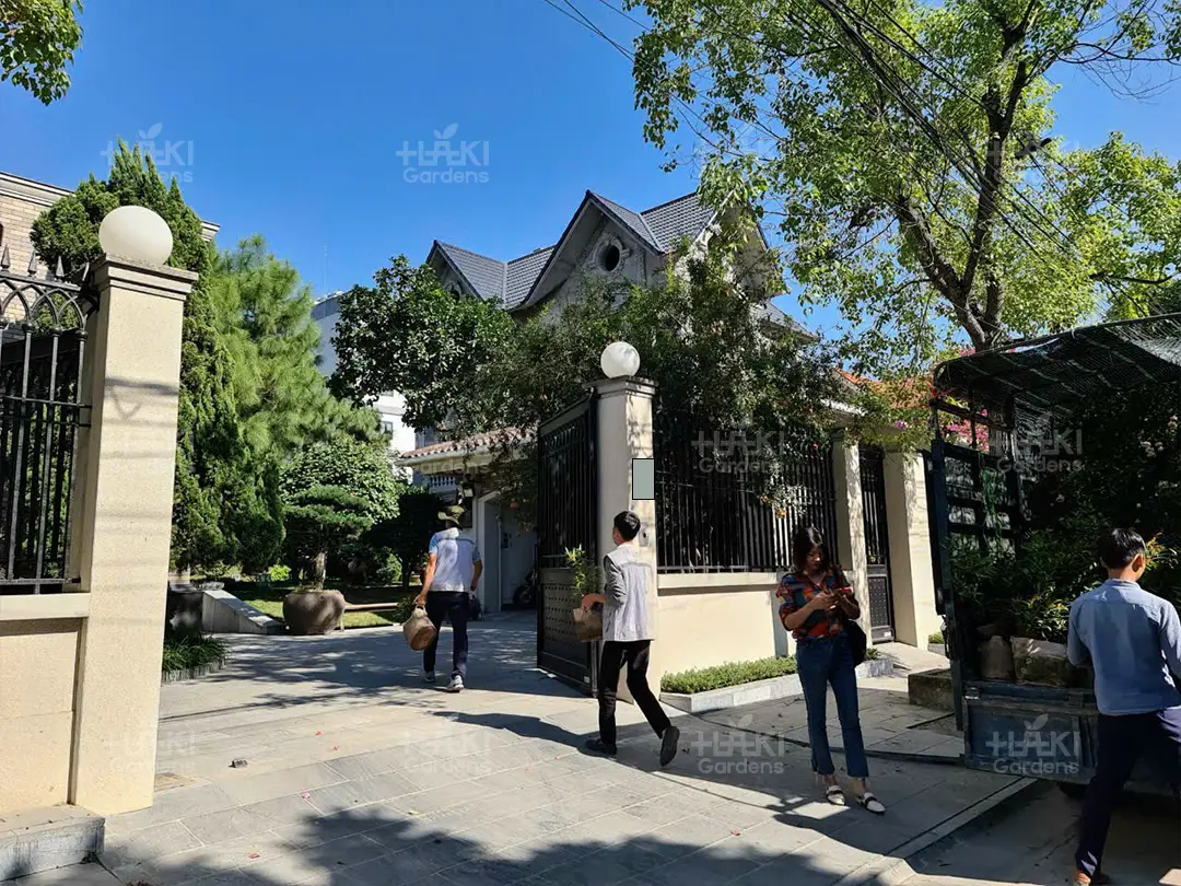 Đội ngũ Haki sắp xếp xe tải để vận chuyển các loại cây được mang tới sân vườn nhà khách hàng.