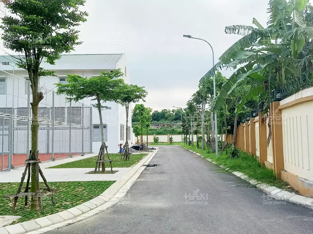 Hàng cây xanh bóng mát gần gũi với thiên nhiên.