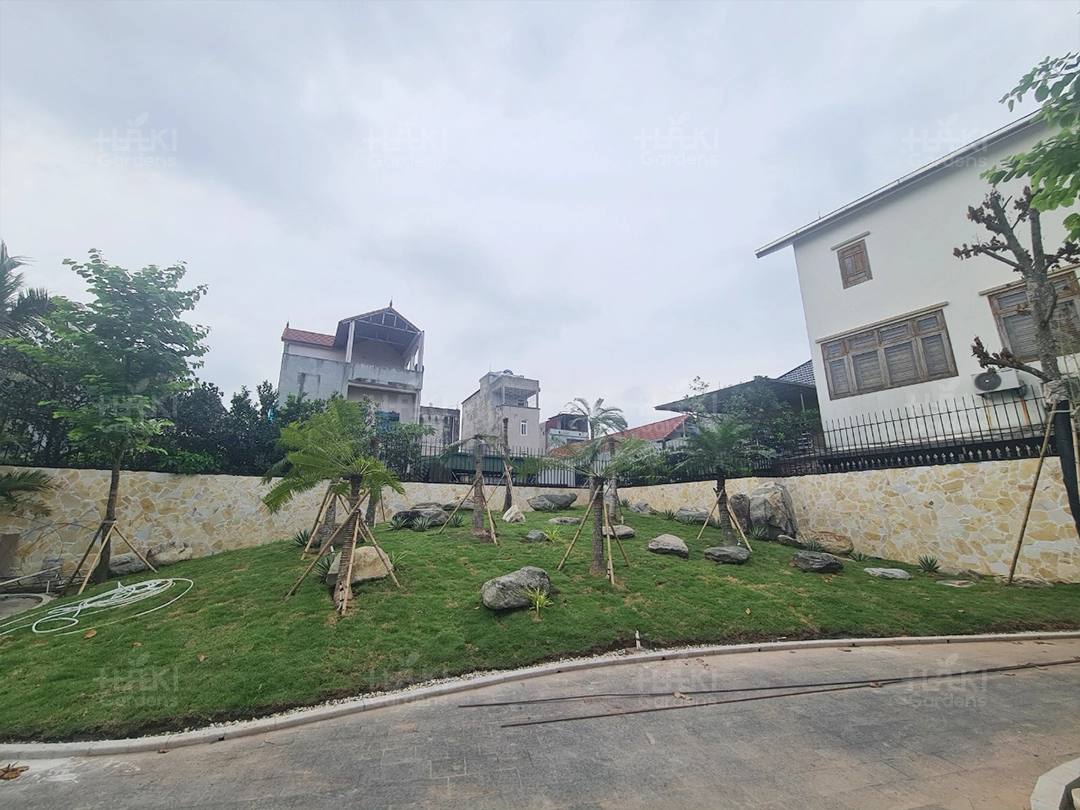 Sự thưa thớt của cây trồng làm không gian bị ảnh hưởng, man mát buồn