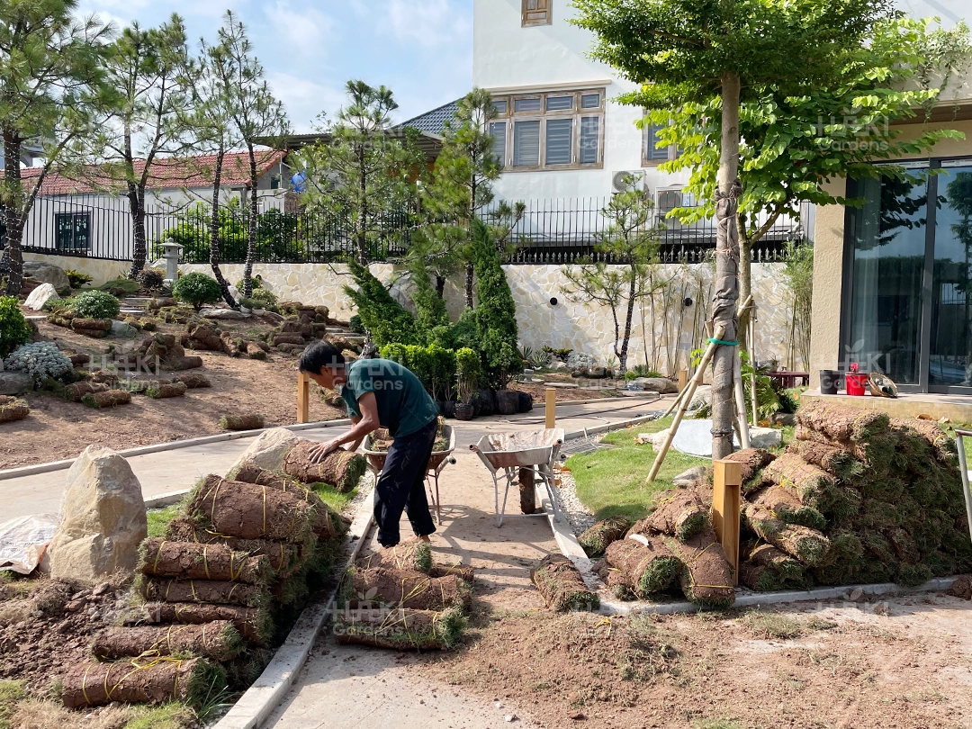Thảm cỏ được chuẩn bị sẵn.