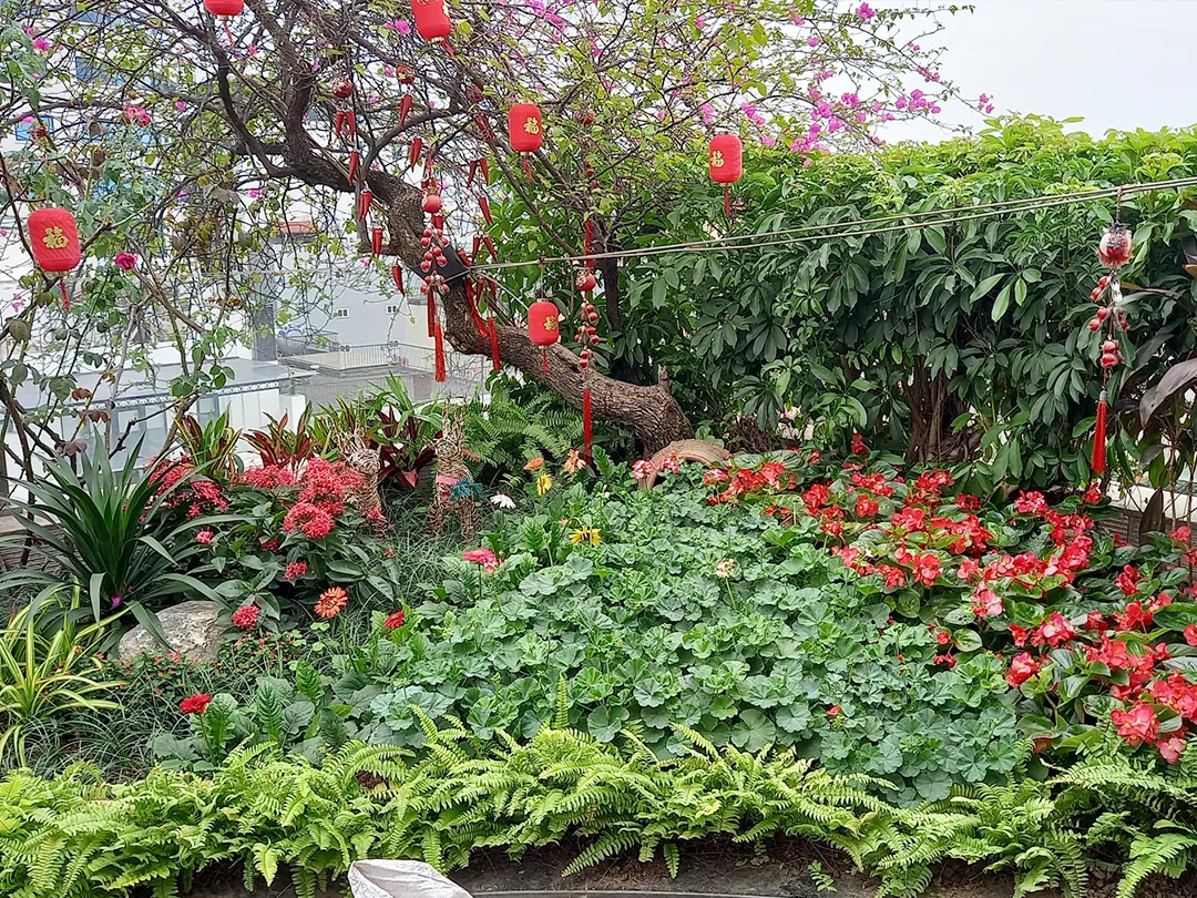 Hoa tươi sắc màu