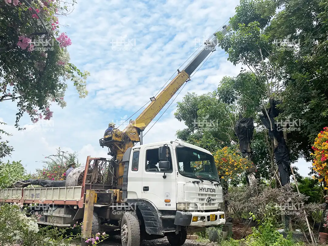 Loại xe chuyên dụng được chuẩn bị