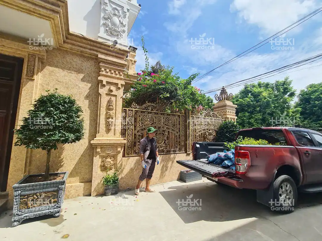 Haki vận chuyển cây và chậu tới nhà khách hàng