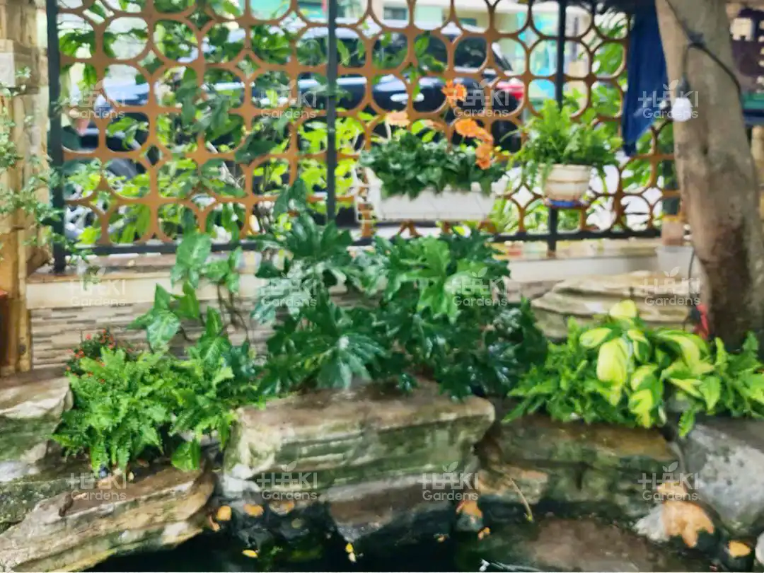 Khóm cây nhỏ 6