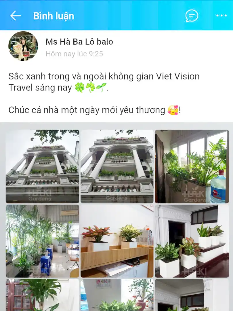 Feedback của khách hàng