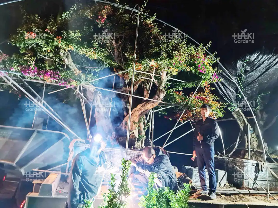 Các khung sắt được cố định chắc chắn