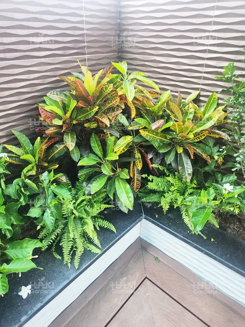 Góc cây xanh