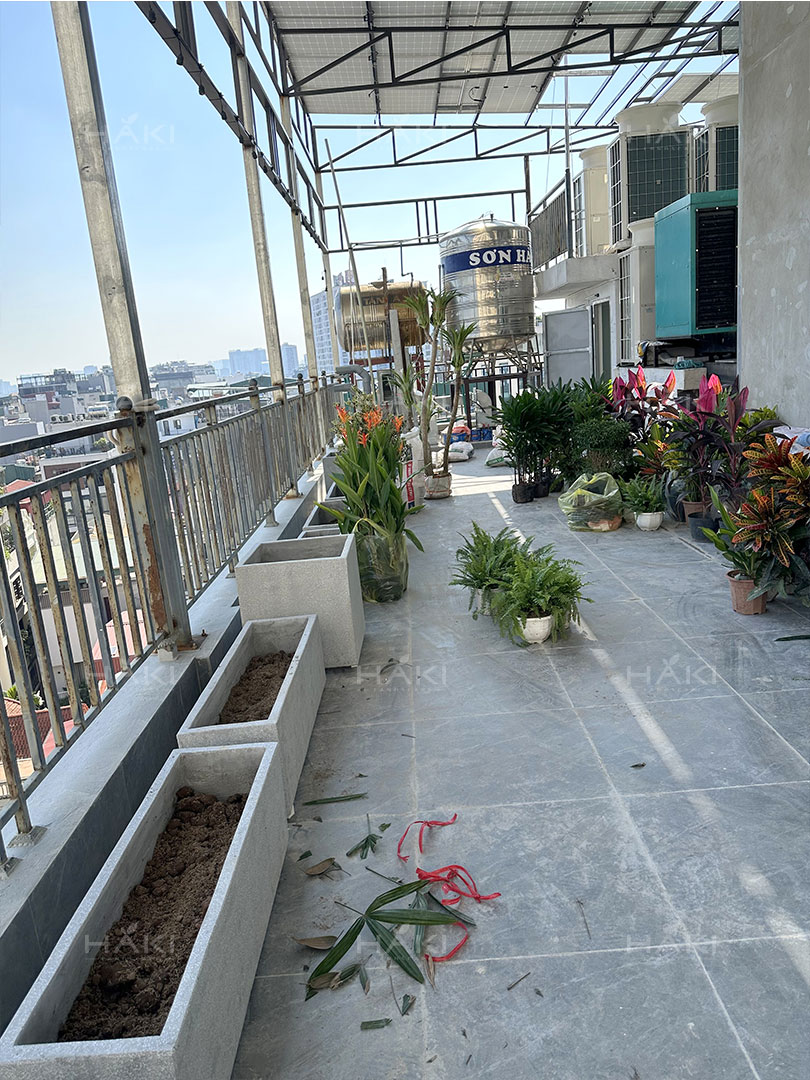 chậu cây sân thượng