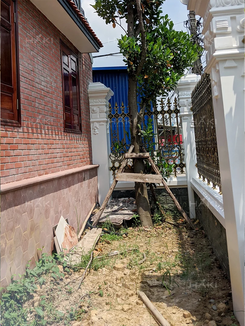 Góc nhỏ hông nhà