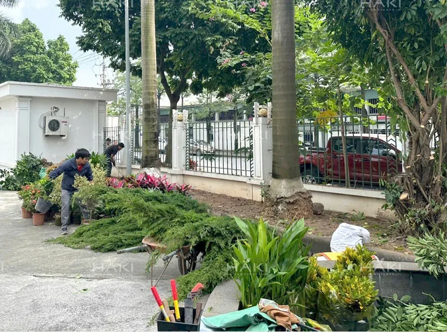 thi công sân vườn