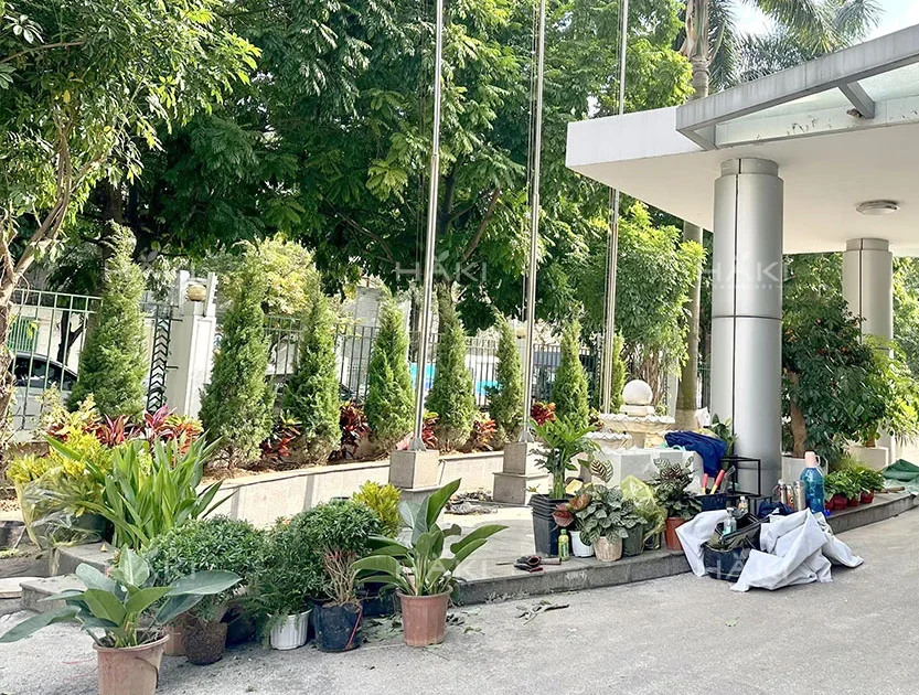 trồng cây sân vườn