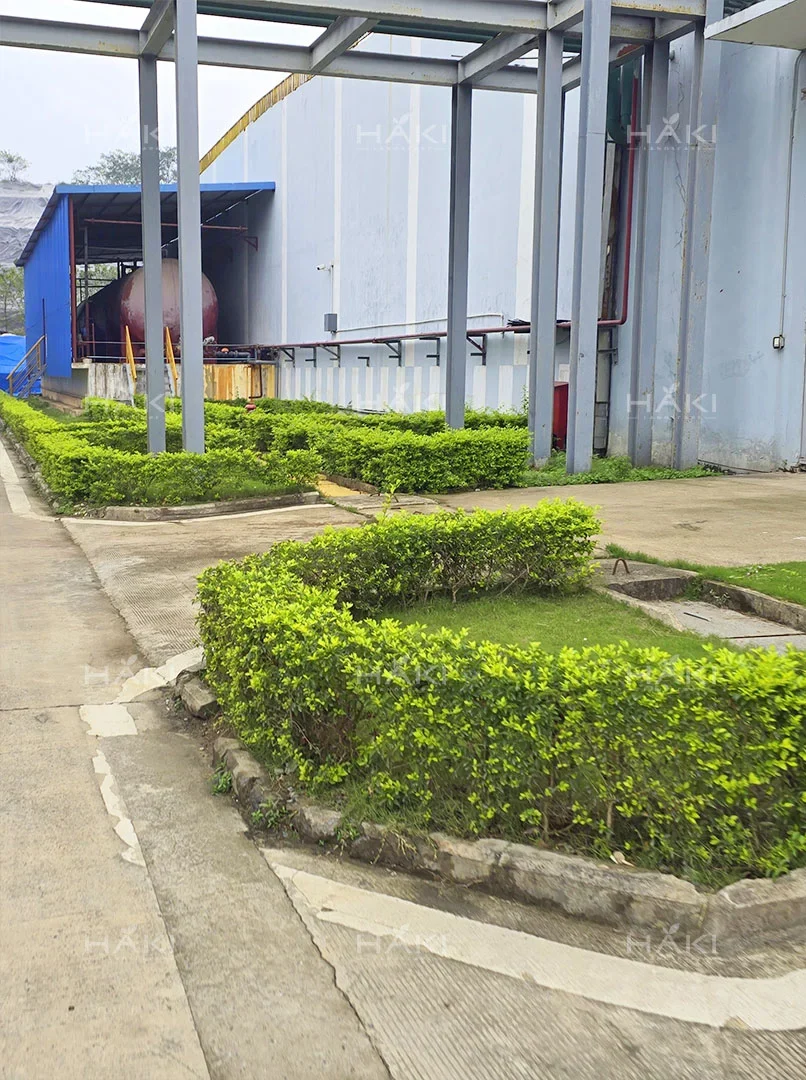 cây hàng rào đẹp