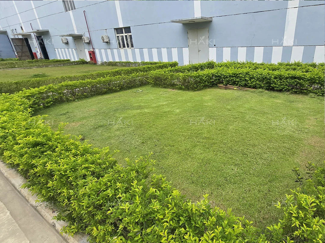 After image