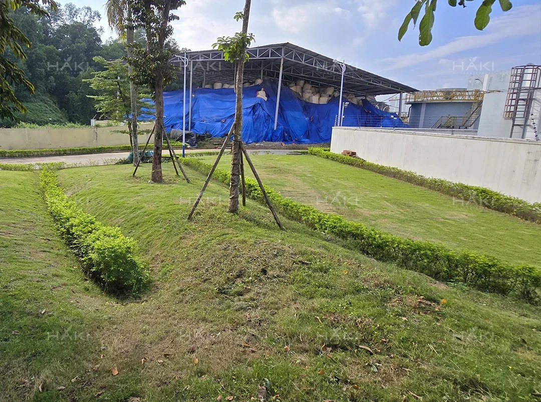 đồi cỏ