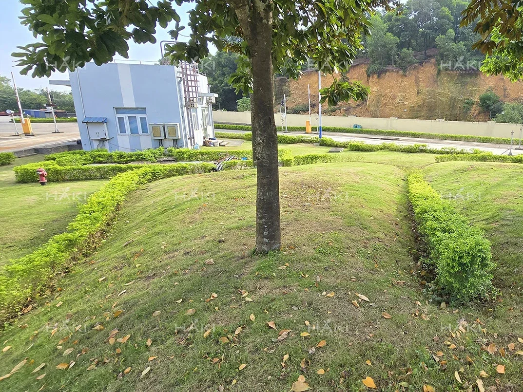đồi cỏ