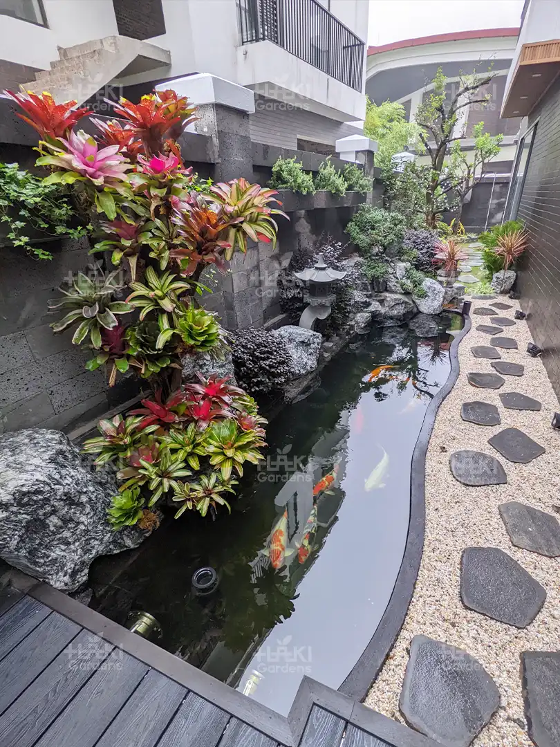 hồ koi