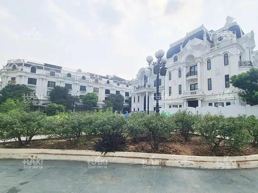vườn hoa