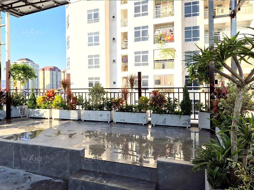 các chậu cây cảnh sắc màu
