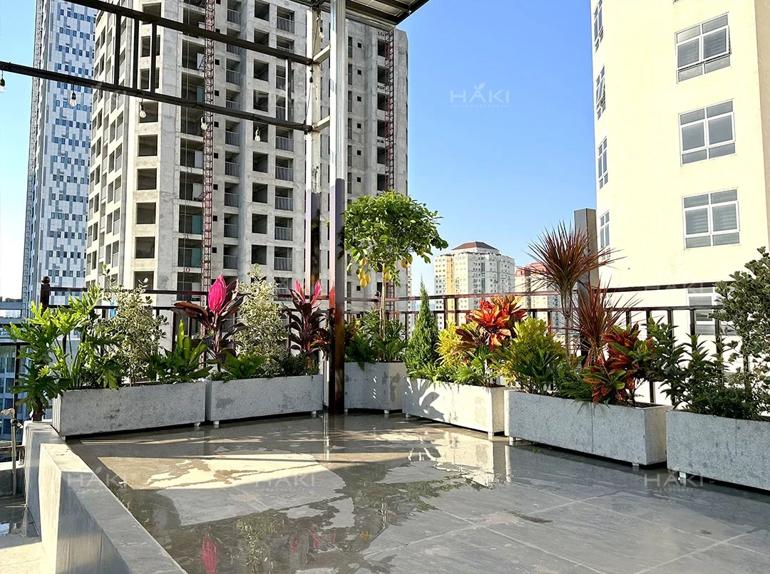 các chậu cây cảnh sắc màu