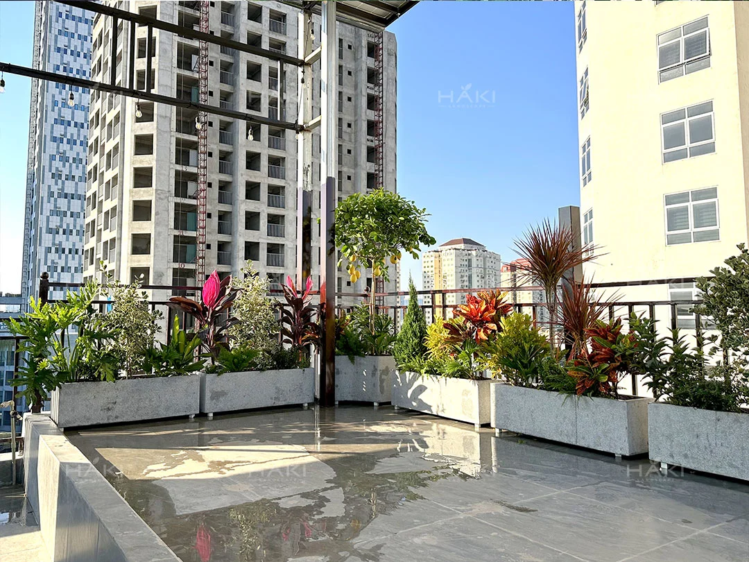 các chậu cây cảnh sắc màu