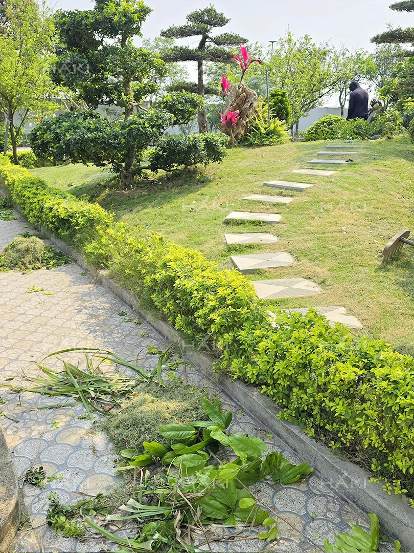 cảnh quan sân vườn