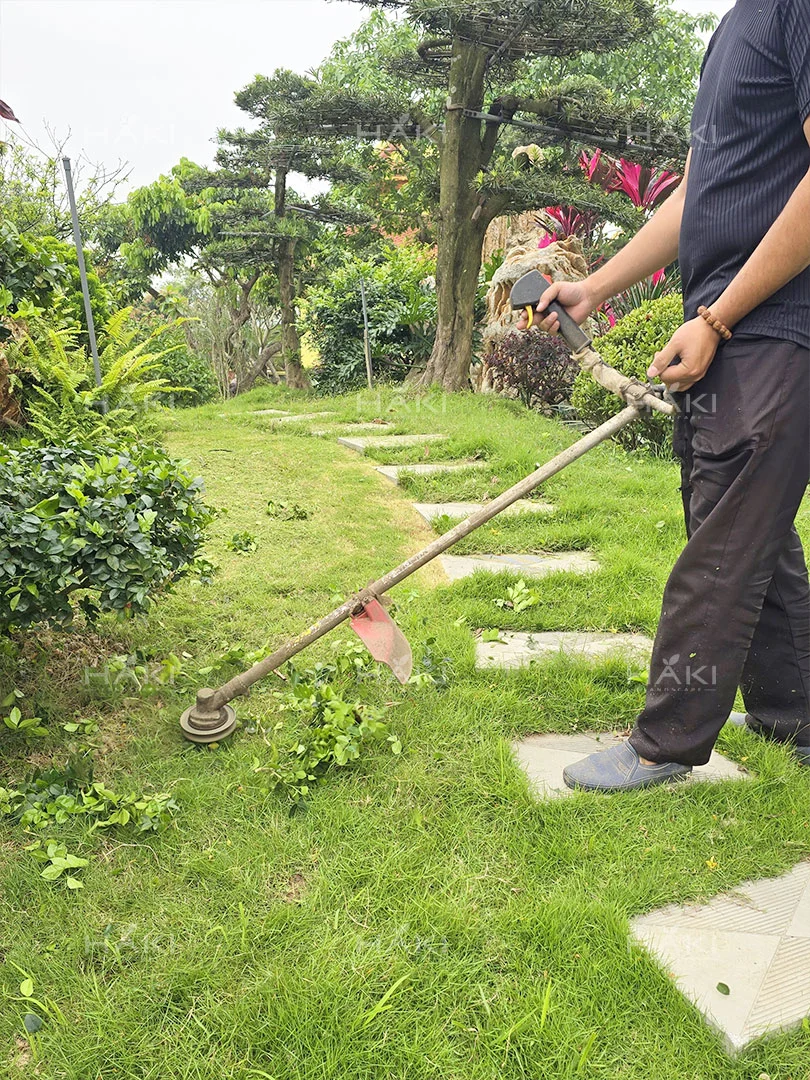 chăm sóc sân vườn