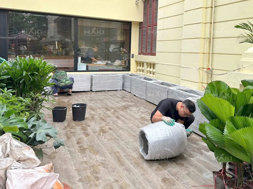 trồng cây sân vườn