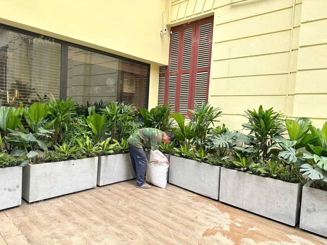 cây xanh sân vườn