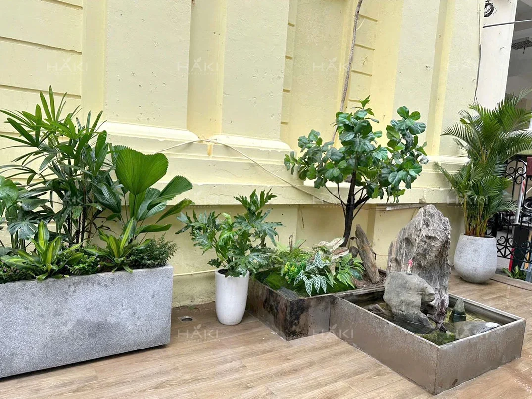 cây trồng sân vườn