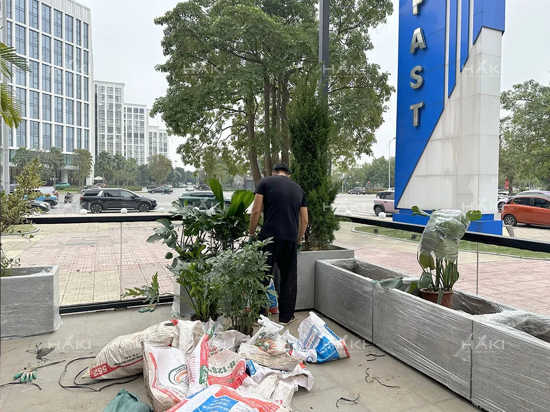 cải tạo sân vườn