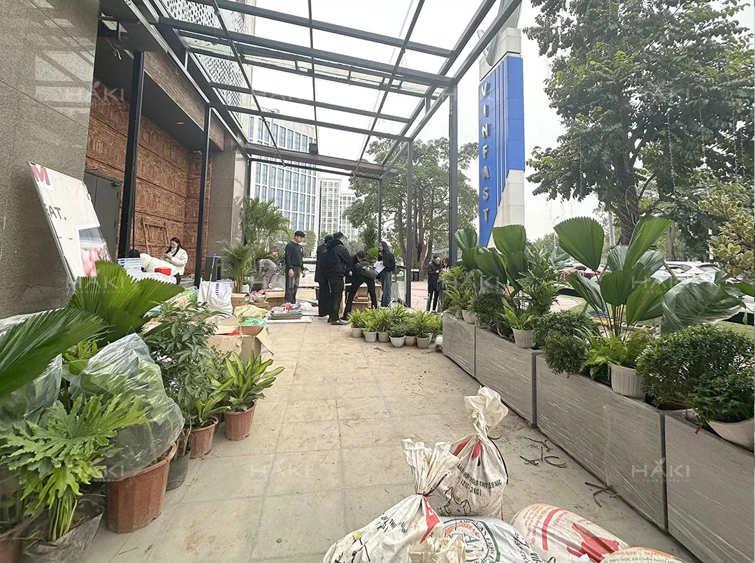 trồng cây ban công