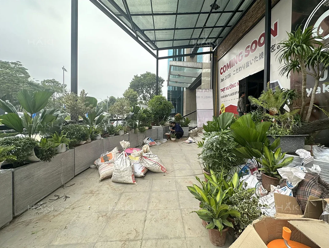 trồng cây sân vườn