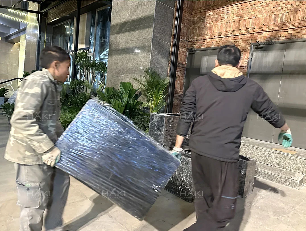 chậu composite