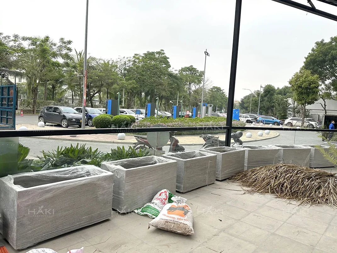 chậu trồng cây