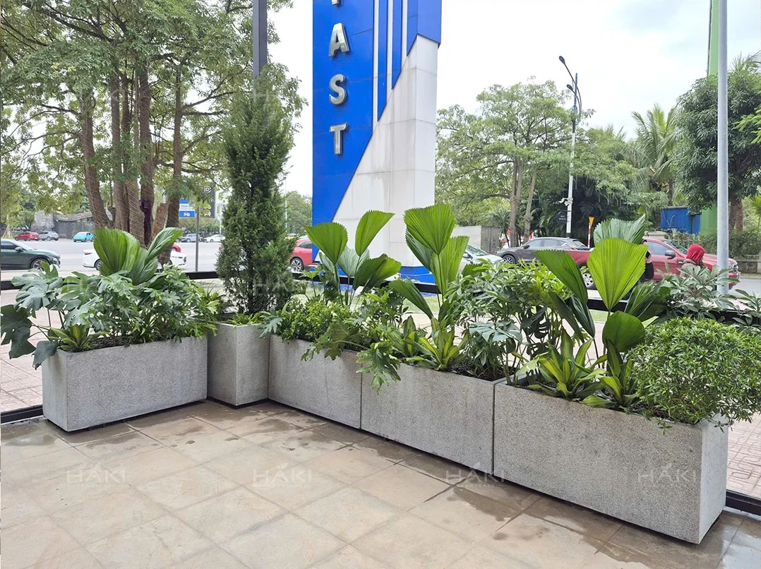 trồng cây ngoài trời