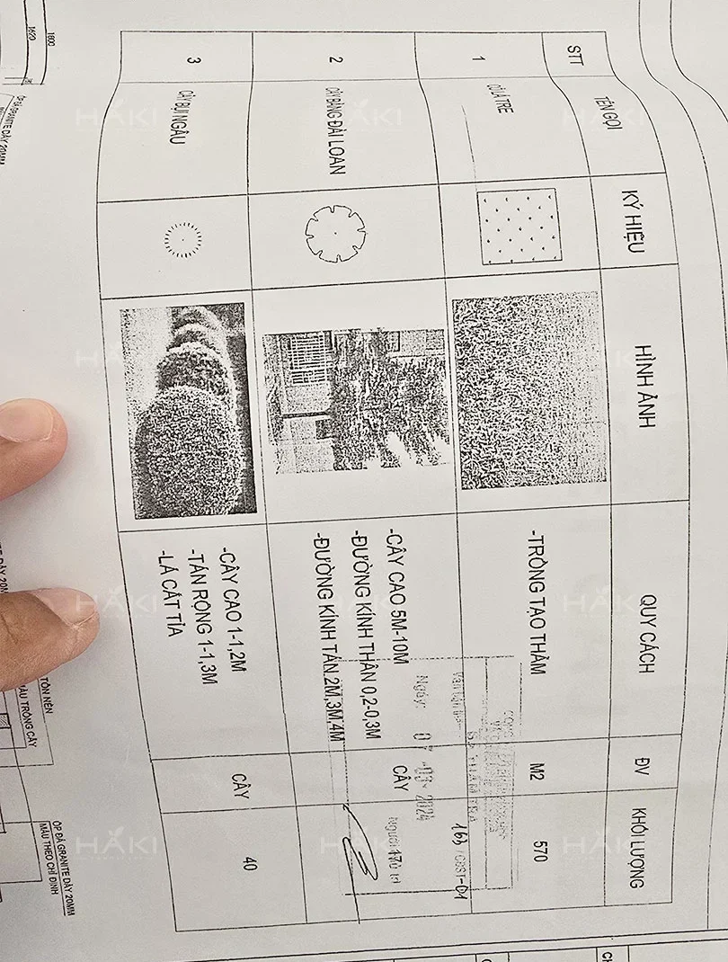 cung cấp cây xanh