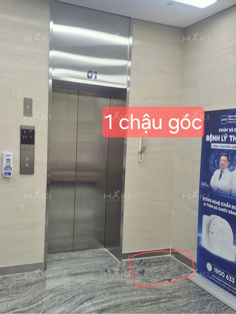 hiện trạng khu vực thang máy trước khi triển khai cây xanh