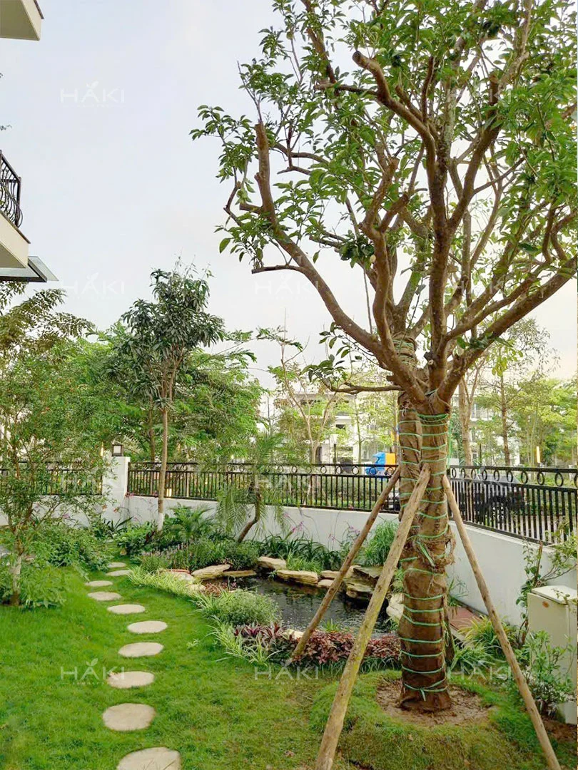Đánh chuyển cây