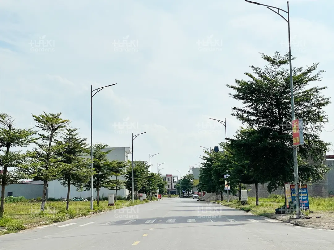 bàng đài loan