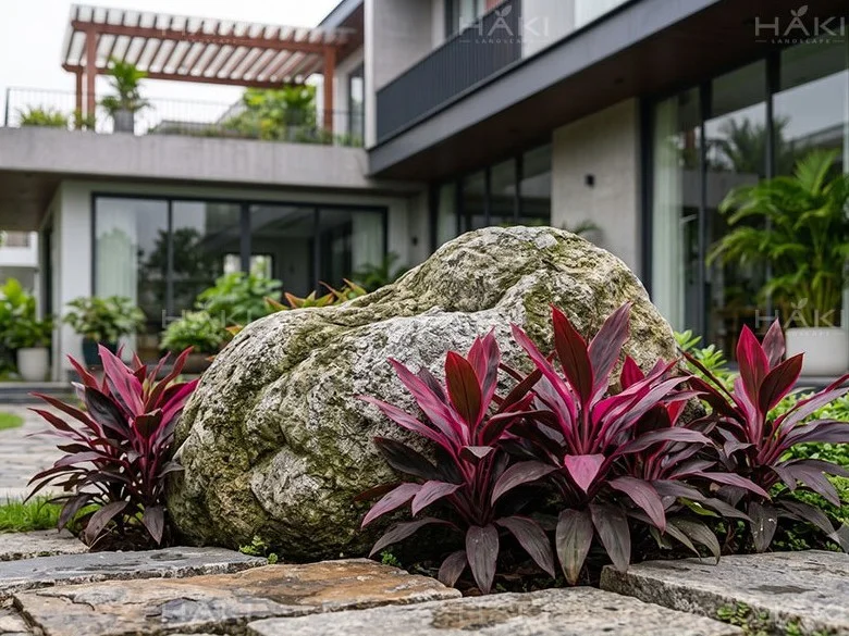 Huyết dụ tạo điểm nhấn bên đá cảnh.