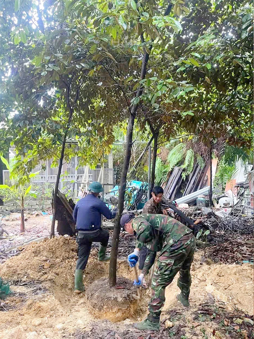 Đánh chuyển cây vú sữa
